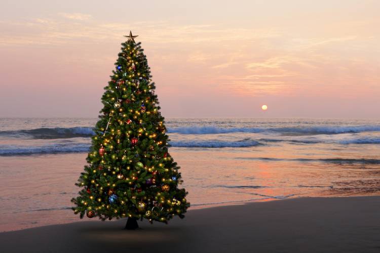 christmas tree on beach